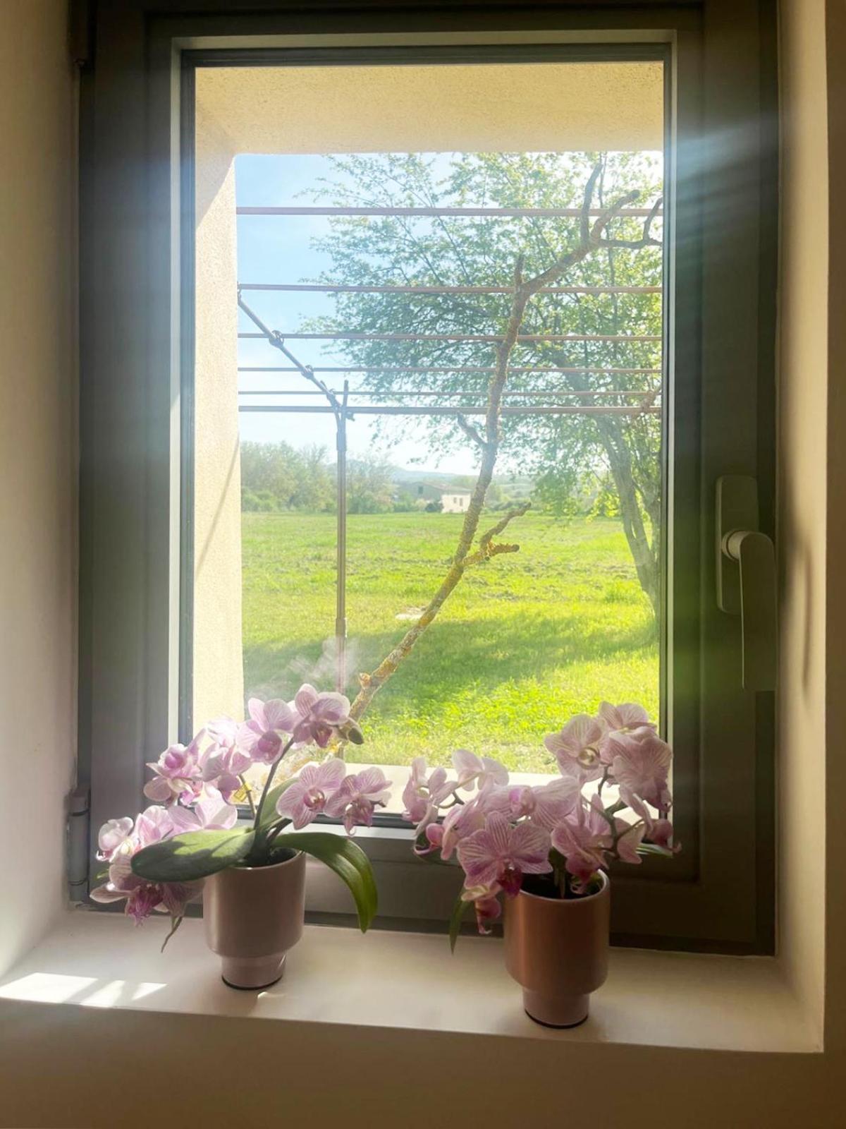 Villa Le Petit Cabanon Provencal Mane  Esterno foto